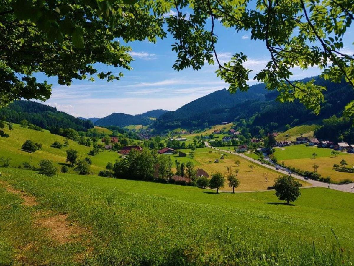 Hotel Walkenstein Oberwolfach المظهر الخارجي الصورة