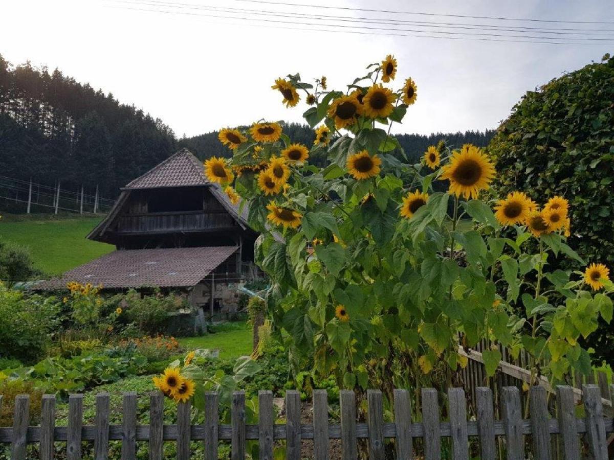 Hotel Walkenstein Oberwolfach المظهر الخارجي الصورة